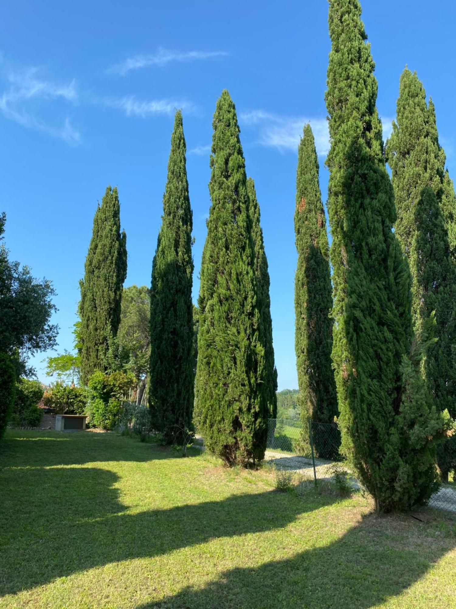 Villa Tre Colli - In The Heart Of Tuscany Certaldo Dış mekan fotoğraf