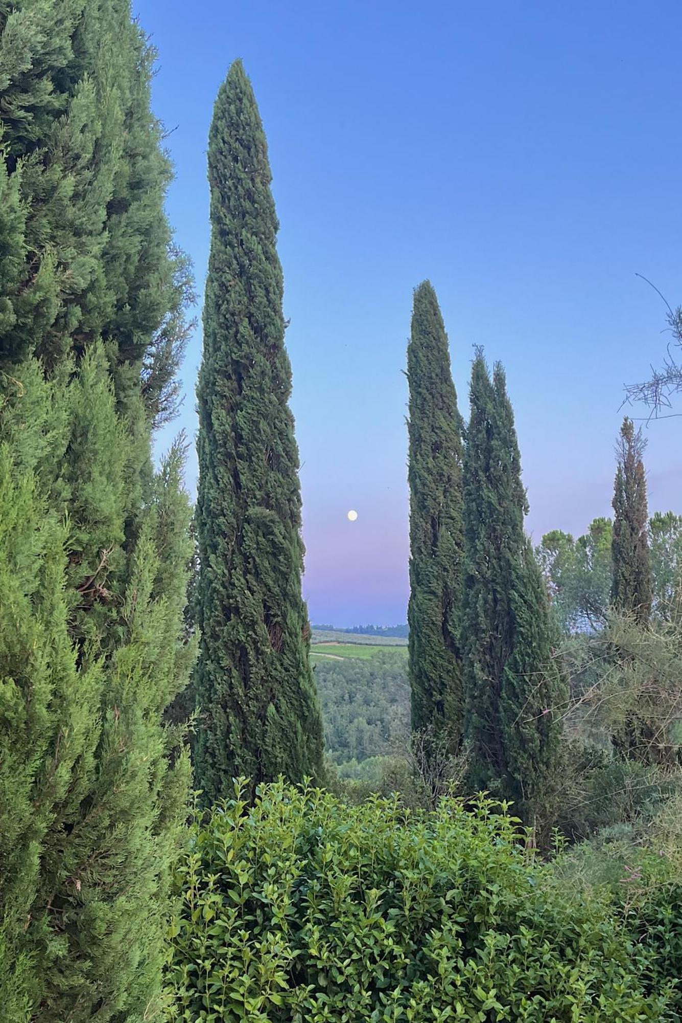 Villa Tre Colli - In The Heart Of Tuscany Certaldo Dış mekan fotoğraf